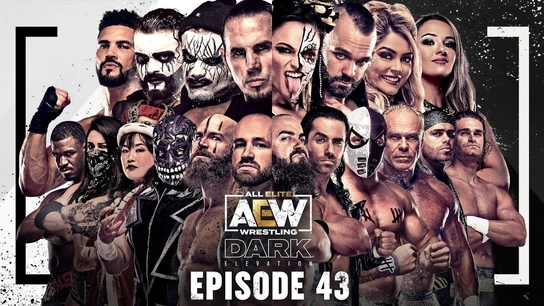 AEW Dark: Elevation Episode 43 превью